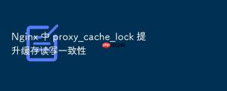 Nginx 中 proxy_cache_lock 提升缓存读写一致性