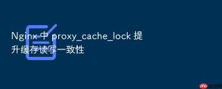 nginx 中 proxy_cache_lock 提升缓存读写一致性
