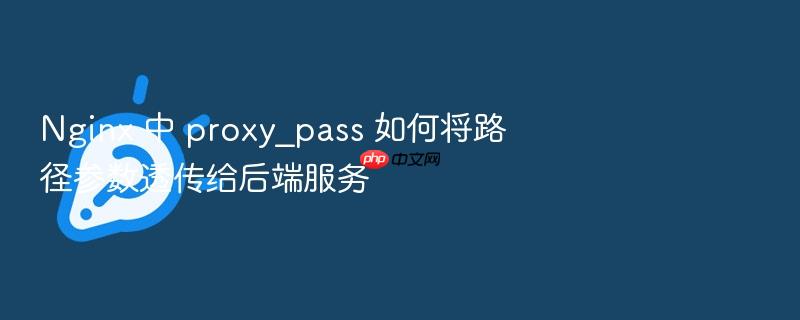 nginx 中 proxy_pass 如何将路径参数透传给后端服务
