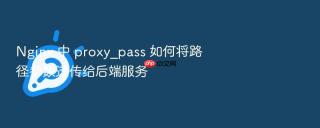 nginx 中 proxy_pass 如何将路径参数透传给后端服务