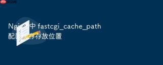 nginx 中 fastcgi_cache_path 配置缓存存放位置