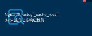 Nginx 中 fastcgi_cache_revalidate 提升动态响应性能