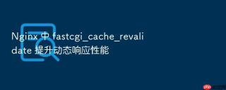 nginx 中 fastcgi_cache_revalidate 提升动态响应性能