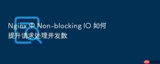 Nginx 中 Non-blocking IO 如何提升请求处理并发数
