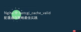 Nginx 中 fastcgi_cache_valid 配置缓存策略最佳实践