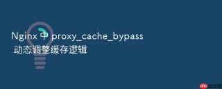 Nginx 中 proxy_cache_bypass 动态调整缓存逻辑