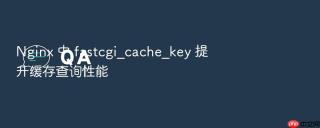 nginx 中 fastcgi_cache_key 提升缓存查询性能