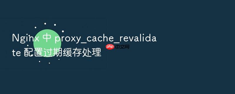 nginx 中 proxy_cache_revalidate 配置过期缓存处理