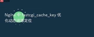 nginx 中 fastcgi_cache_key 优化动态资源定位
