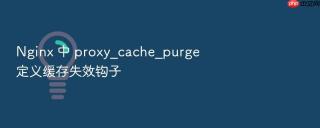 nginx 中 proxy_cache_purge 定义缓存失效钩子