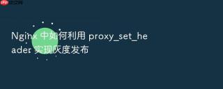 nginx 中如何利用 proxy_set_header 实现灰度发布