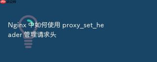 nginx 中如何使用 proxy_set_header 管理请求头