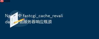 nginx 中 fastcgi_cache_revalidate 降低服务器响应瓶颈