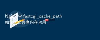Nginx 中 fastcgi_cache_path 如何优化共享内存占用