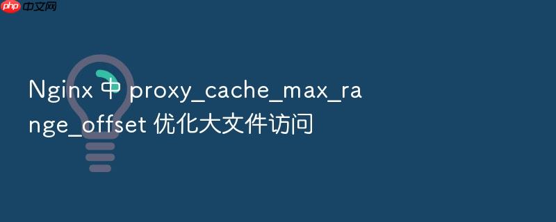 nginx 中 proxy_cache_max_range_offset 优化大文件访问