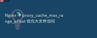 nginx 中 proxy_cache_max_range_offset 优化大文件访问