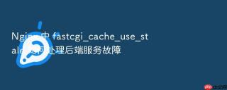 Nginx 中 fastcgi_cache_use_stale 如何处理后端服务故障