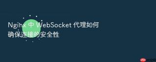 Nginx 中 WebSocket 代理如何确保连接的安全性