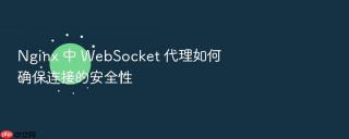 nginx 中 websocket 代理如何确保连接的安全性