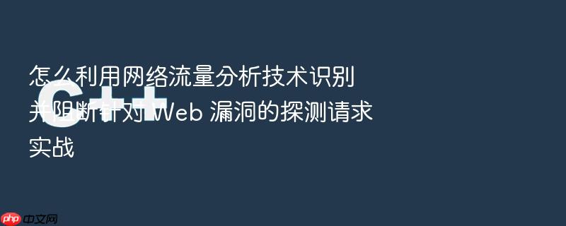 怎么利用网络流量分析技术识别并阻断针对 web 漏洞的探测请求实战