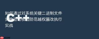 如何通过对系统关键二进制文件实施签名校验防范越权篡改执行实战