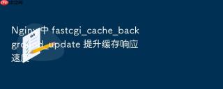 Nginx 中 fastcgi_cache_background_update 提升缓存响应速度