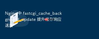 nginx 中 fastcgi_cache_background_update 提升缓存响应速度