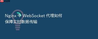 nginx 中 websocket 代理如何保障实时数据传输