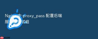 Nginx 中 proxy_pass 配置后端服务器重试组
