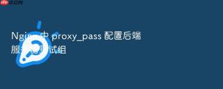 nginx 中 proxy_pass 配置后端服务器重试组