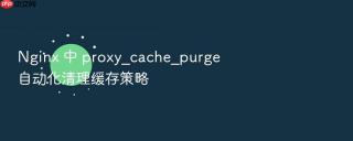 Nginx 中 proxy_cache_purge 自动化清理缓存策略