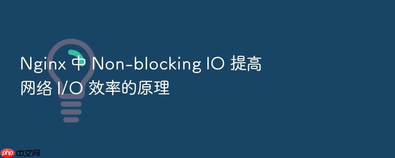 nginx 中 non-blocking io 提高网络 i/o 效率的原理