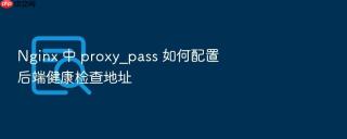 nginx 中 proxy_pass 如何配置后端健康检查地址