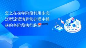 怎么在初学阶段利用多态泛型流理清异常处理中捕获的各阶段执行脉络