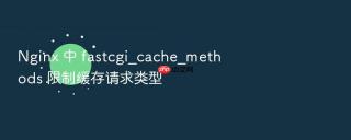 nginx 中 fastcgi_cache_methods 限制缓存请求类型
