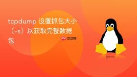 tcpdump 设置抓包大小（-s）以获取完整数据包