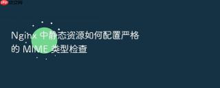 nginx 中静态资源如何配置严格的 mime 类型检查