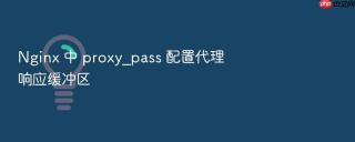 nginx 中 proxy_pass 配置代理响应缓冲区