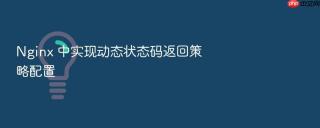 nginx 中实现动态状态码返回策略配置