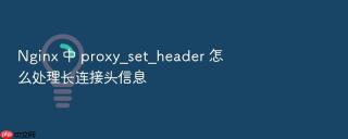 Nginx 中 proxy_set_header 怎么处理长连接头信息