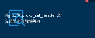 nginx 中 proxy_set_header 怎么适配不同前端架构