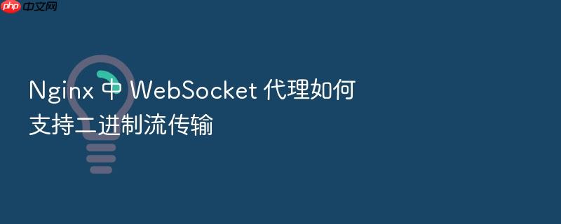 nginx 中 websocket 代理如何支持二进制流传输