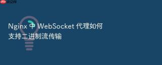 nginx 中 websocket 代理如何支持二进制流传输