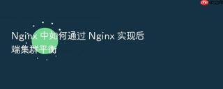 Nginx 中如何通过 Nginx 实现后端集群平衡