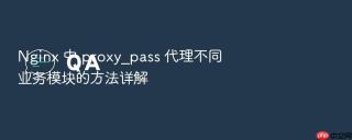Nginx 中 proxy_pass 代理不同业务模块的方法详解