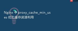 nginx 中 proxy_cache_min_uses 优化缓存资源利用