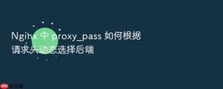 Nginx 中 proxy_pass 如何根据请求头动态选择后端