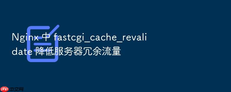 nginx 中 fastcgi_cache_revalidate 降低服务器冗余流量