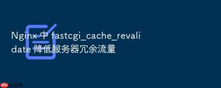 nginx 中 fastcgi_cache_revalidate 降低服务器冗余流量