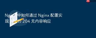 Nginx 中如何通过 Nginx 配置实现 API 的 204 无内容响应
